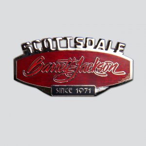 Large Lapel Pin - Scottsdale