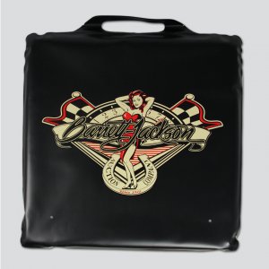 Seat Cushion 2013