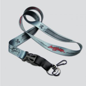 Lanyard 2013